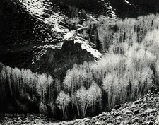 1959 Vintage PHILIP HYDE Aspen