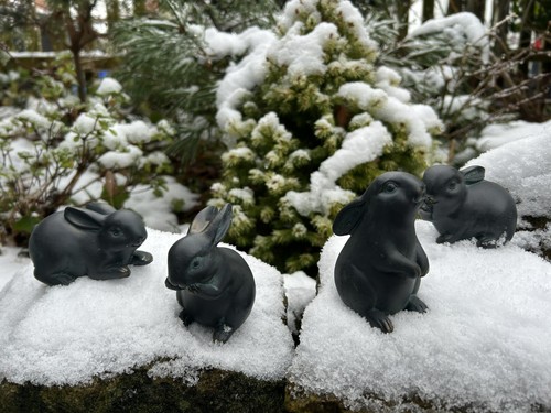 Set bunny rabbit garden - bunny,