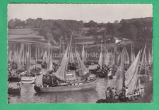🌞SARDINE SAILING BARGES IN