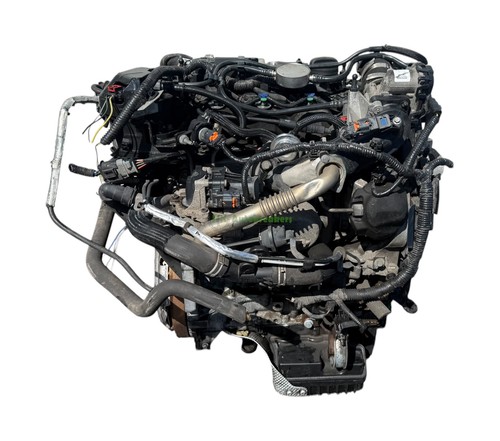 Ford transit connect engine - ford,