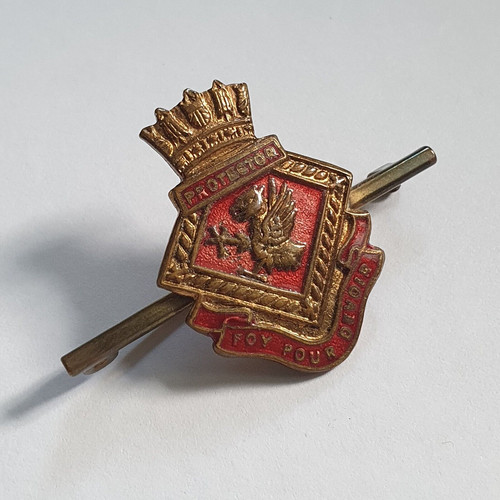 Royal navy s protector - h.m.s,