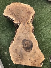 Oak Burr Timber Slab Solid