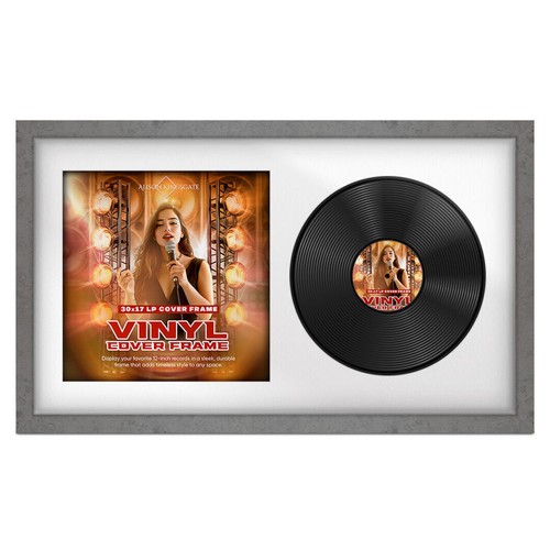 30x17 vinyl record - record, album