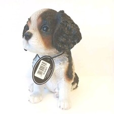 King Charles Puppy Dog -