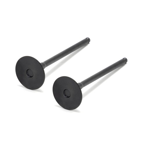 Exhaust valve kit - 2x,