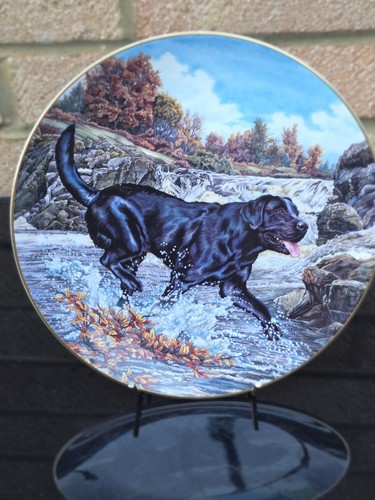Royal doulton collectors - royal, plate