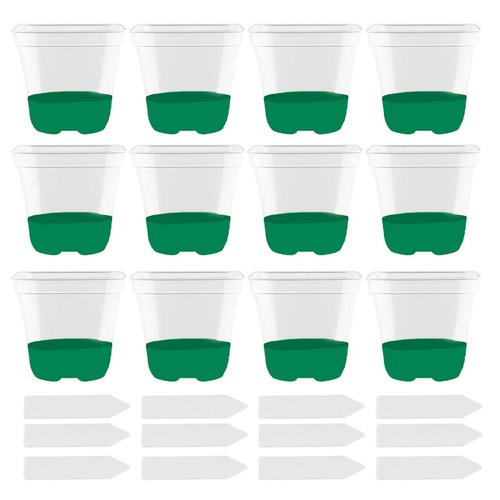 Clear plant pots set pieces - plant,