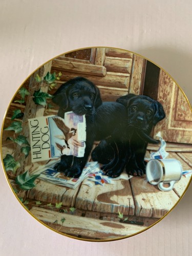 Labrador puppies plate - puppies, cabin