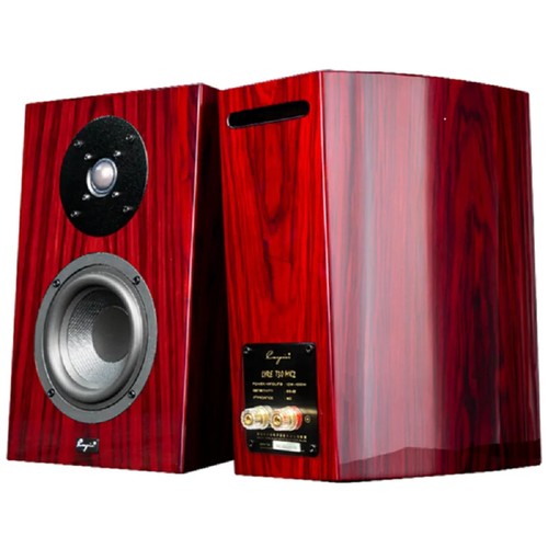 Cayin t30mk2 two - two, way