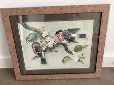 Birds Original Watercolour - Bullfinches - Framed - c. A2 size