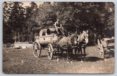 Antique man driving horse