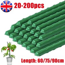 Green Garden Plant Stakes