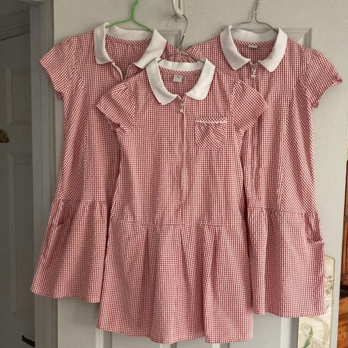 Red gingham school - tu,