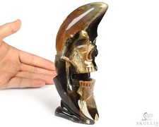 6.3" Dinosaur Egg Agate Hand