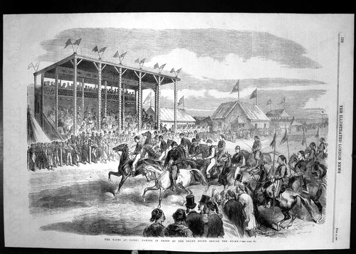 Antique old print 1861 horse - print,