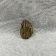 X-Men 2 Nightcrawler Toe Nail Screen Used Movie Prop Film TV COA Rare Marvel