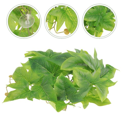 Green reptile terrarium - reptile,
