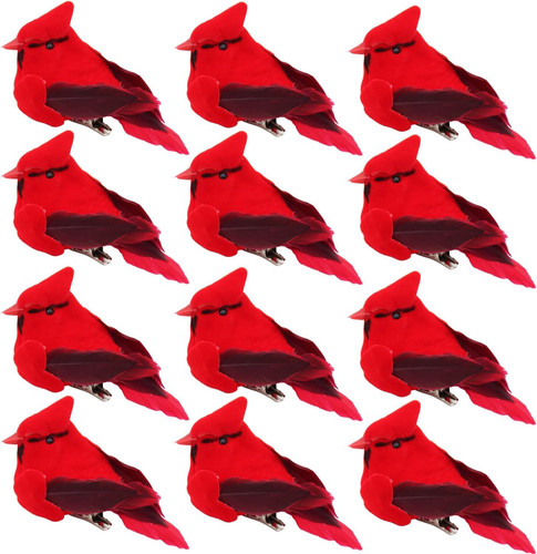 Small red cardinal - 12,