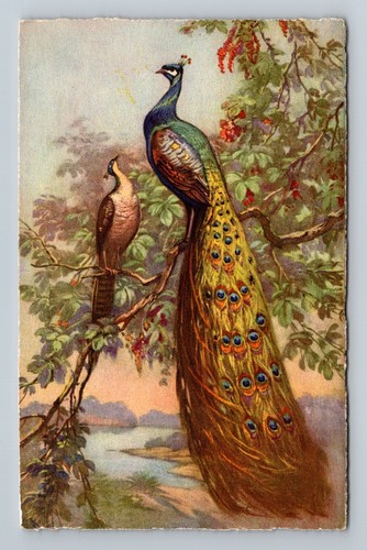 Art postcard birds - art, 114