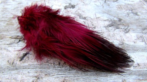 Ifs bleached golden pheasant - bleached,