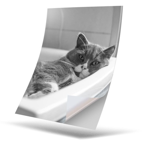 Vinyl sticker bw - 1, x
