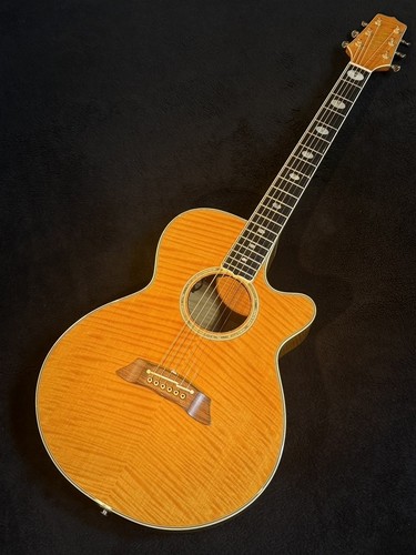 Takamine npt 115 acoustic - takamine,