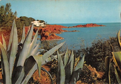 83-ESTEREL-N�T2749-B/0271