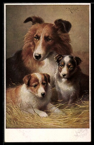 Artist postcard carl - carl, reichert