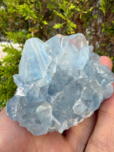 Celestite crystal geode - crystal,