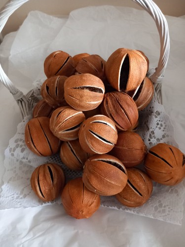 Whole dried oranges - dried, x