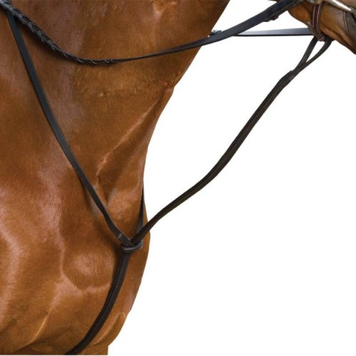 Wintec standing martingale - wintec,