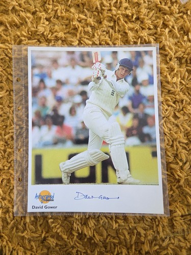 David gower england legend - david,