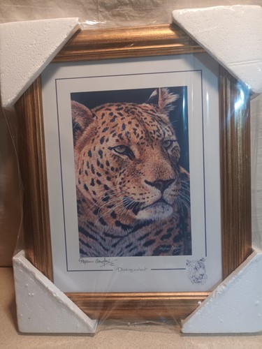 Stephen gayford print - gayford,