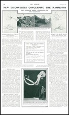 1903 PREHISTORIC Mammoths Fore Foot Skull Mountains Curving Tusks (56)