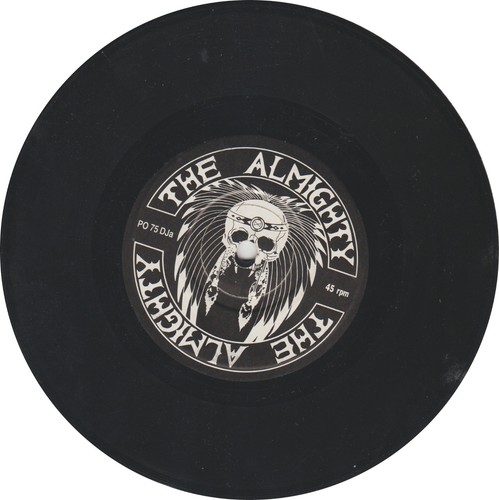 The almighty wild - almighty, –