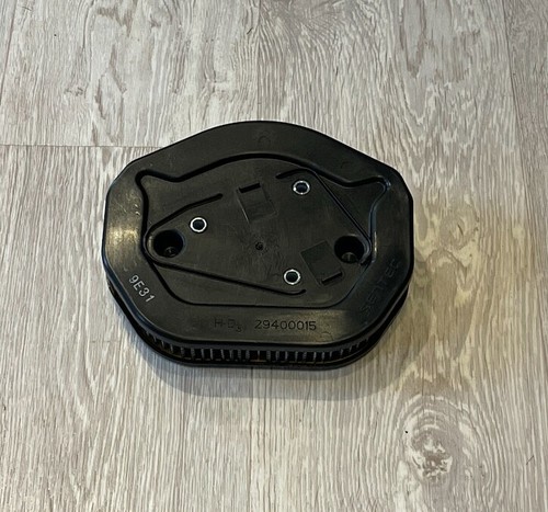 Genuine air cleaner filter - genuine,