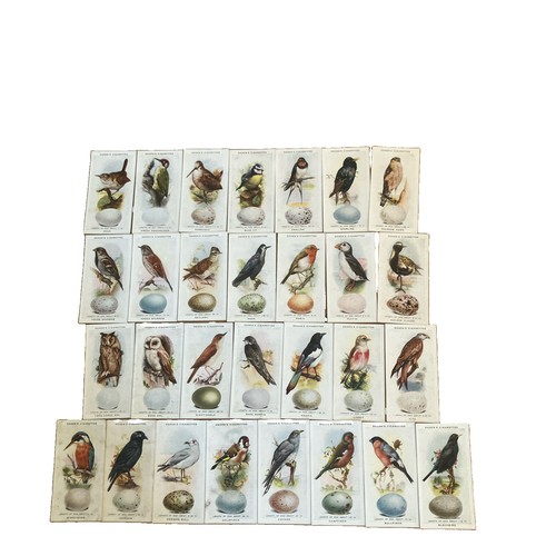 Ogdens 1939 british birds - ogdens,
