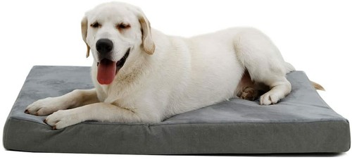 Orthologics large grey - orthologics, dog