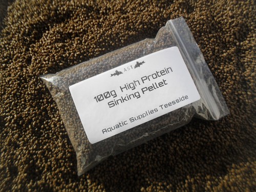 Sinking high protein - protein, pellets