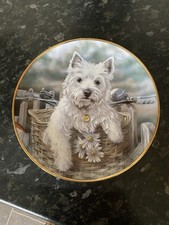 Westie Dog Porcelain Plate : Danbury Mint