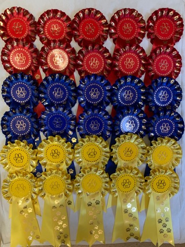 Dog show rosettes - dog,