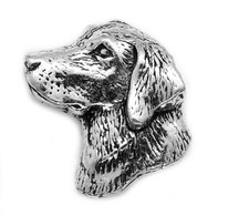 Small labrador retriever dog - retriever,