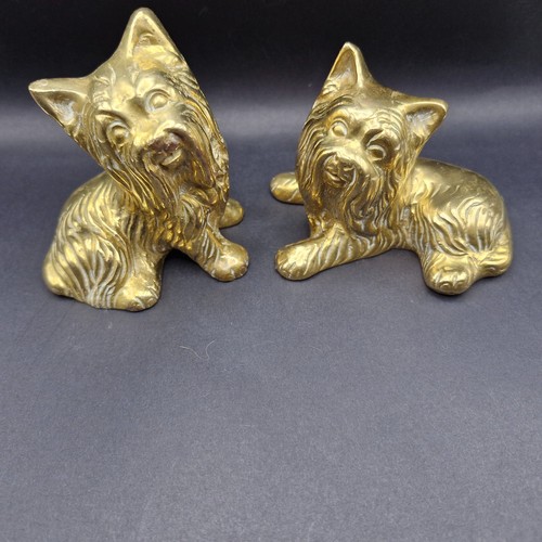 Vintage solid brass dog - vintage,