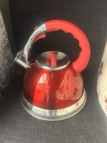 Whistling kettle stainless - whistling,