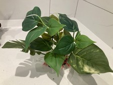 Artificial Aquarium Plant Set