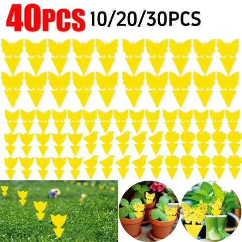 40pcs fruit fly - 40pcs, yellow