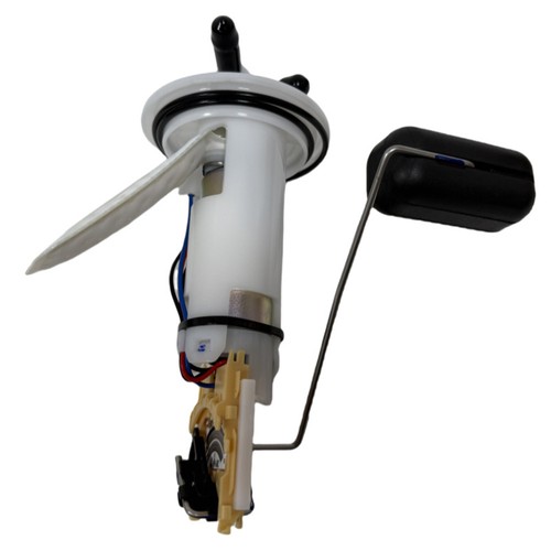 Fuel pump assembly for - fuel,
