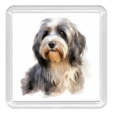 TIBETAN TERRIER Dog Acrylic