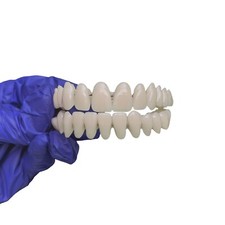 Realistic False Teeth |