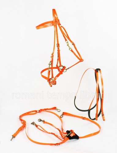 Bridle headstall trekking - bridle,